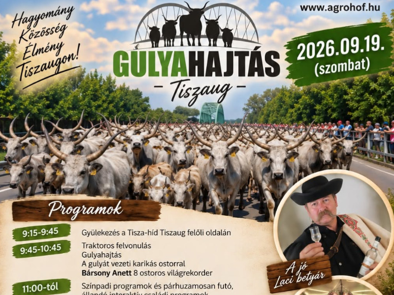 Gulyahajtás Tiszaugon – hagyomány, családi programok és különleges élmények