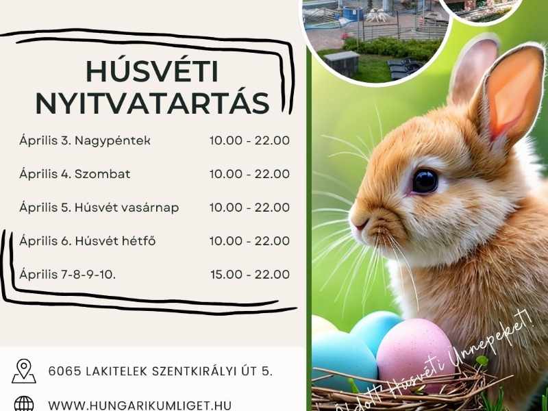 Húsvéti nyitvatartás és tavaszi szünet - Gyarmati Dezső Tanuszoda és Gyógyfürdő