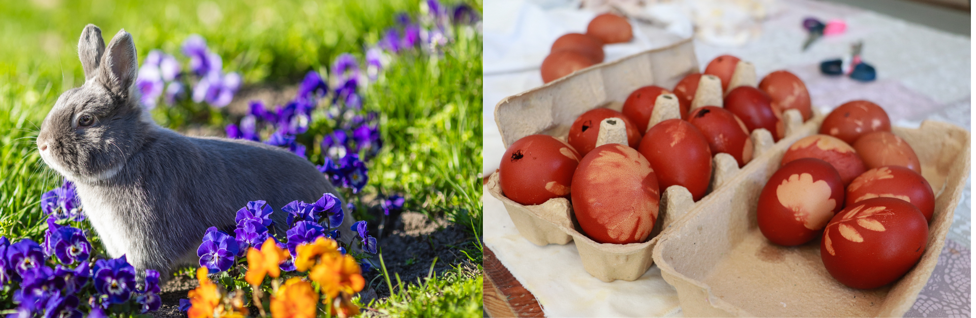 Húsvéti csomagajánlat